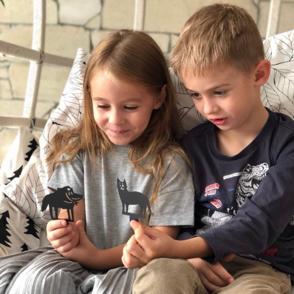 Домашний Театр теней - набор с двумя сказками