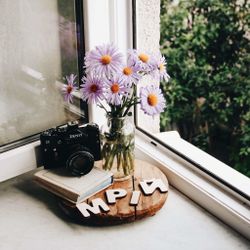 33  Дополнительных Буквы